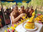 โครงการพัฒนาคุณภาพชีวิตผู้สูงอายุและประชาชนตำบลปราสาท